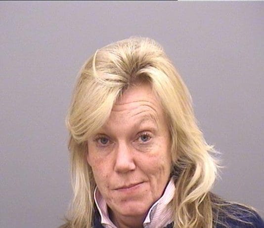 Woman who failed to stop at the scene of a fatal collision sentenced