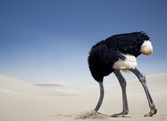 Terror On Our Streets, Ostriches In The Media