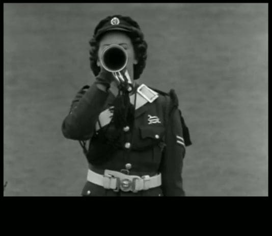 Patriots would never allow their country to be sold off by charlatans. They would stand up to them