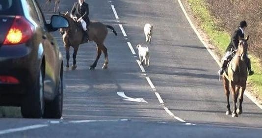 Dorset Police: Do Your Job Please