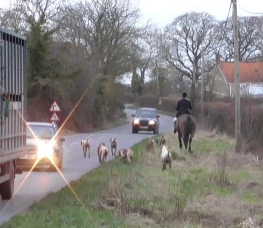 When will there be serious prosecutions against these ‘thugs on horseback’?