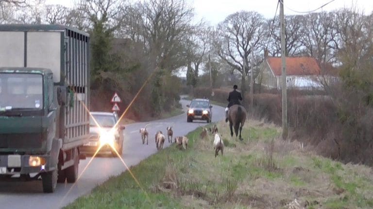 When will there be serious prosecutions against these ‘thugs on horseback’?