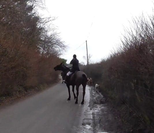 Make no mistake, this was not trail-hunting. It was fox-hunting. Fourteen years after it was made illegal it is still being carried out…and in full view’