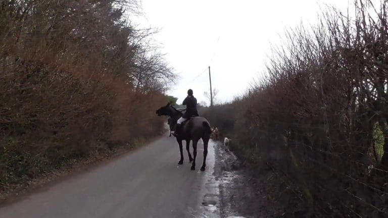 Make no mistake, this was not trail-hunting. It was fox-hunting. Fourteen years after it was made illegal it is still being carried out…and in full view’