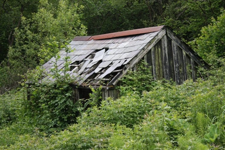 Arson at Powerstock Common Nature Reserve