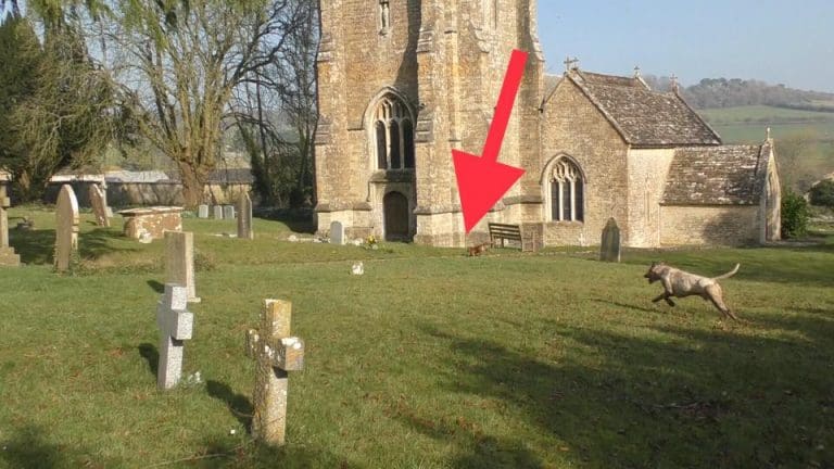 Hunt chases pregnant fox into the local church but its not news
