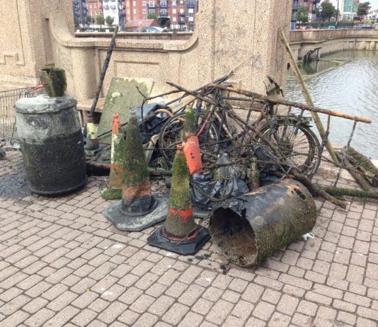 Wild birds at risk from human junk in Radipole Lake