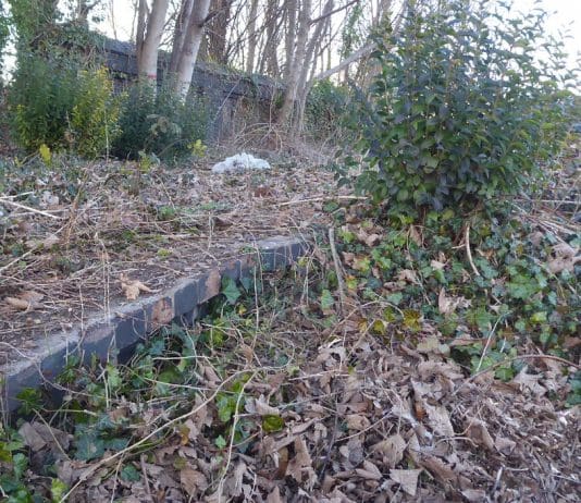 ‘This isn’t a reversal of Beeching. It’s a sick joke’