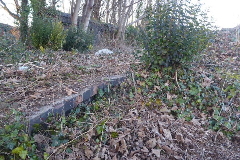 ‘This isn’t a reversal of Beeching. It’s a sick joke’