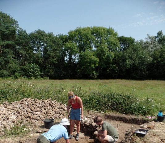 Roman Villa re-discovered on DWT nature reserve