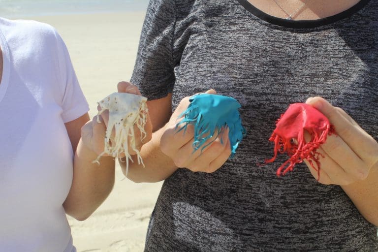 Rubber Jellyfish European Film-Premiere