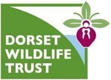 Dorset Wildlife Events: September 2013