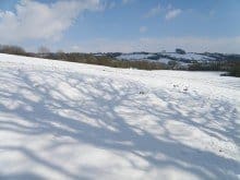 Celebrate Christmas at Kingcombe