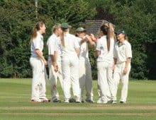 Dorset Cricket Board to Nurture New talent