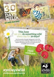 Half term events to go wild about!