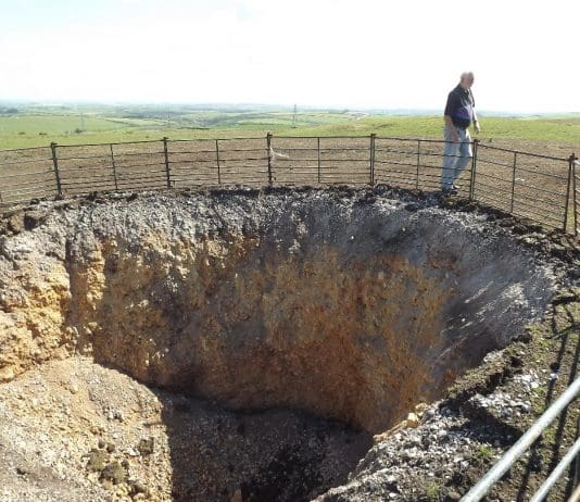 More from the Sink Hole