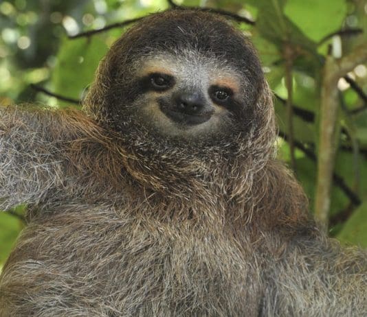 ‘This is why I am a Socialist’