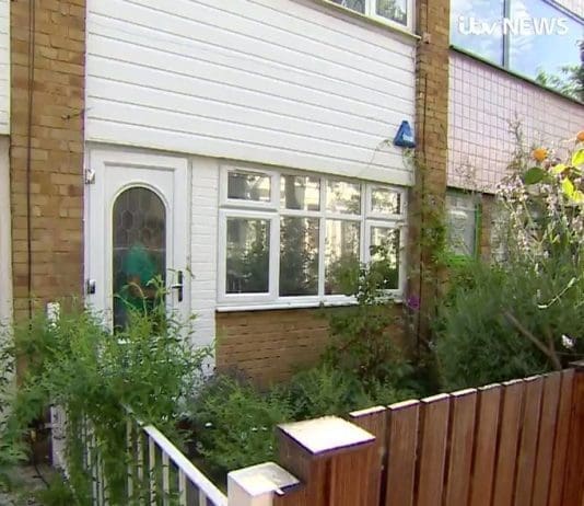 Who needs Steve Bannon or Alastair Campbell when Mr Corbyn has this lady?