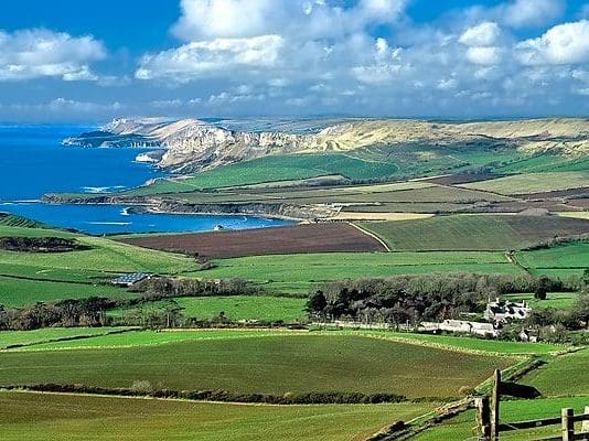 Witness appeal following serious road traffic collision in West Dorset