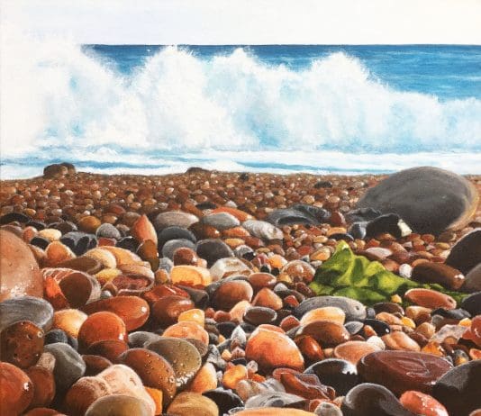 Seaweed is only revealed at low tide and is hugely inspiring…