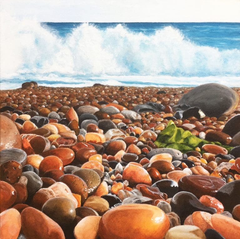 Seaweed is only revealed at low tide and is hugely inspiring…