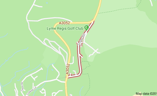 Witness appeal following serious collision in Lyme Regis