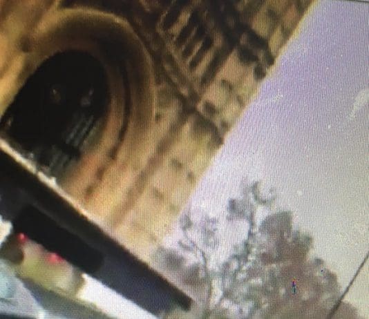 ‘Mate you are one of the biggest dim wits in this country’ says one of the biggest dim wits in this country