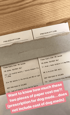 How Much Can A Vet Charge For a Prescription?