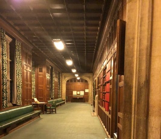 WOW!! THIS IS WHO WE CAN VOTE FOR. Quick summary of last night’s South Dorset constituency Hustings in Swanage