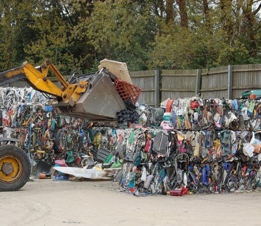 Recycling in Dorset – The Facts