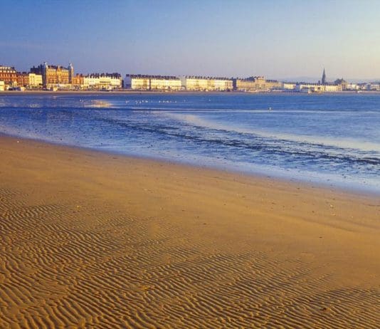 The Great Poppy Event in Weymouth