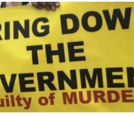 HERE IS THE ARTICLE THAT SHOULD BRING DOWN THE GOVERNMENT