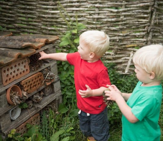 Sign up for the 30 Days Wild challenge to enjoy nature from home