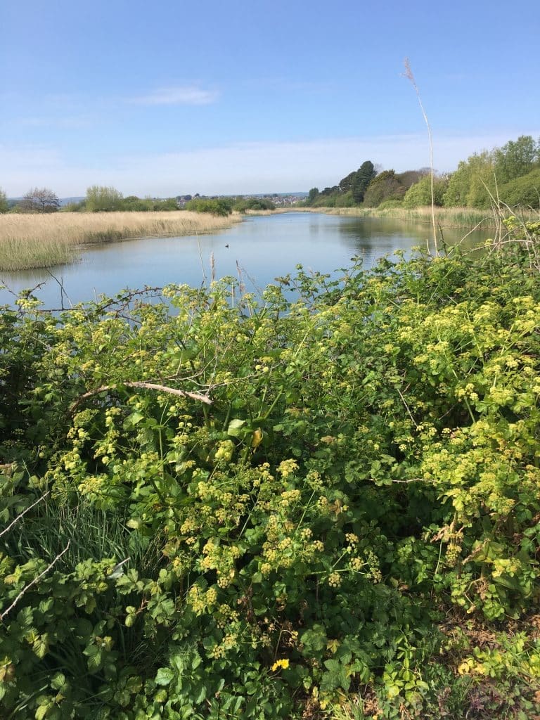 Attempted robbery near Swannery in Weymouth