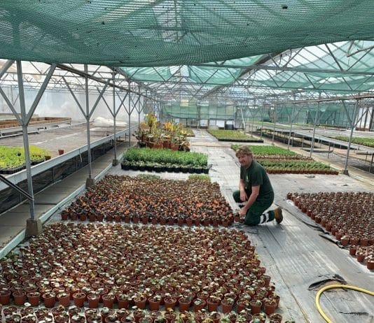 Weymouth Town Council working to support communities during coronavirus pandemic