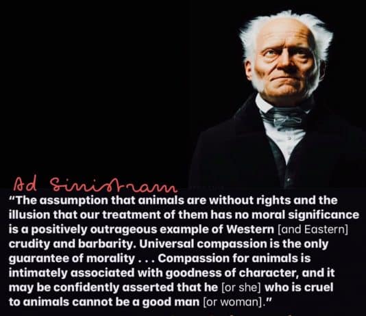 We all have to start treating animals better