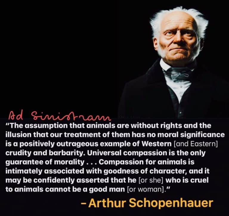 We all have to start treating animals better