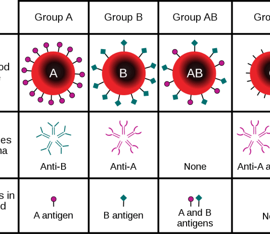 Study Suggests Blood Type A Associated With Higher Risk of COVID-19
