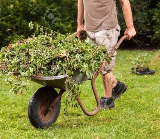 Garden waste kerbside collections to resume from 27th April