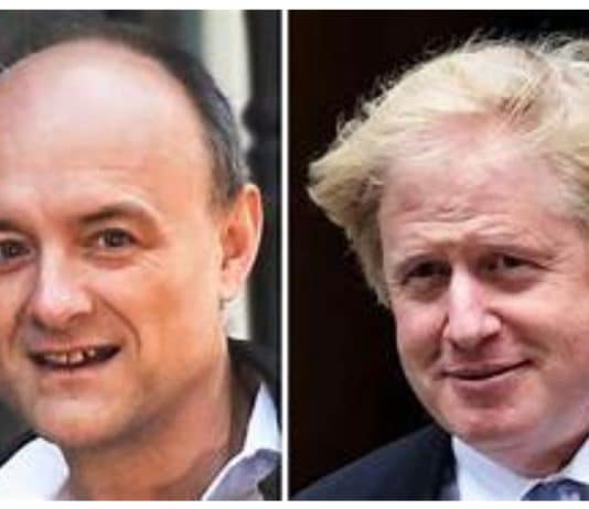 The tweet that sums up the Cummings Johnson relationship