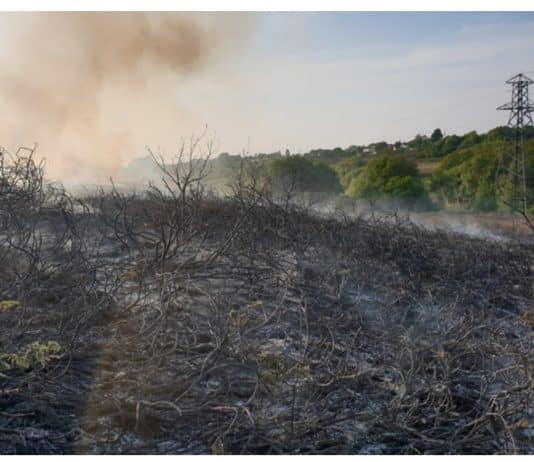 Appeal for information following suspicious fire in Poole