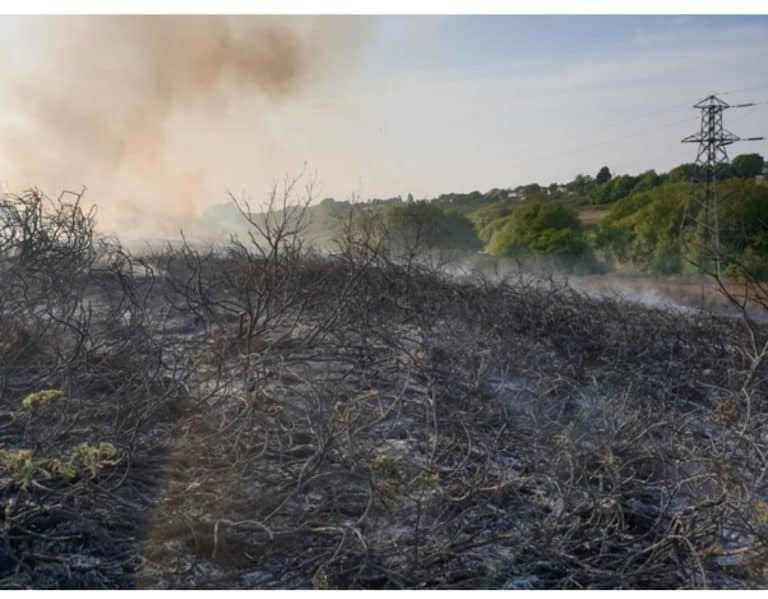 Appeal for information following suspicious fire in Poole