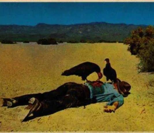 The vultures are circling