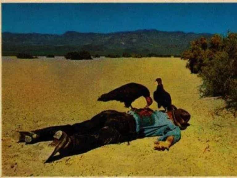 The vultures are circling