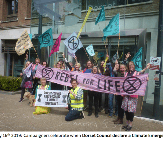 Dorset Council – Where’s your plan?