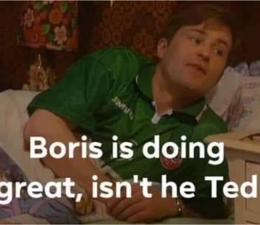 Scientific Integrity: How many of the UK deaths are down to reckless political interference?