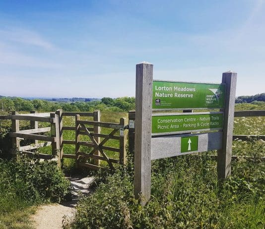 24 year old male in custody in Weymouth following arrest for Class A drug dealing