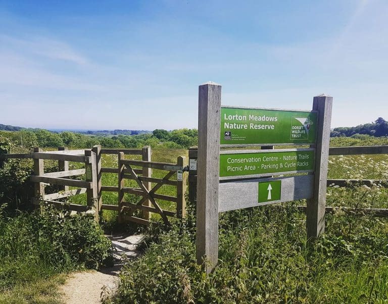 24 year old male in custody in Weymouth following arrest for Class A drug dealing