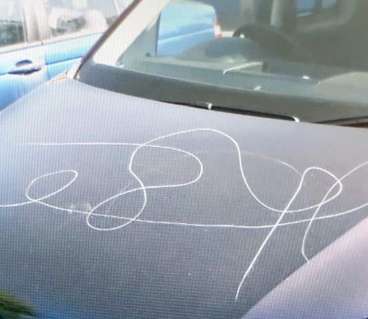 Disabled person a possible victim of hate crime in Poole