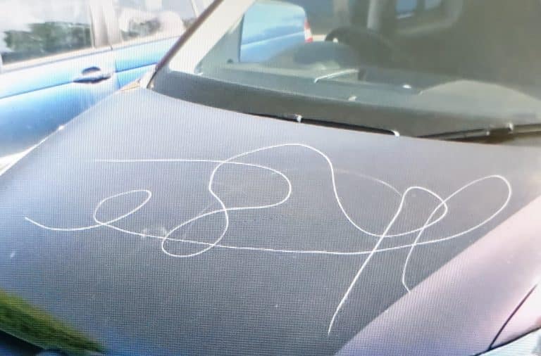 Disabled person a possible victim of hate crime in Poole